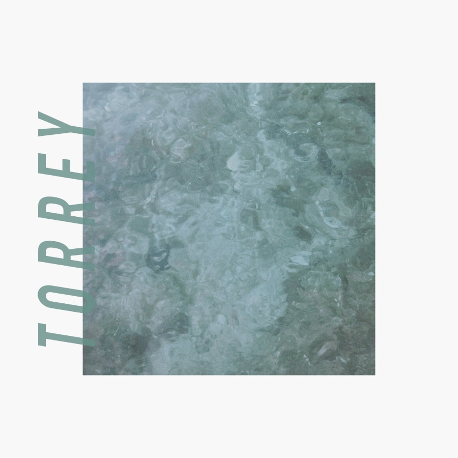 Torrey image